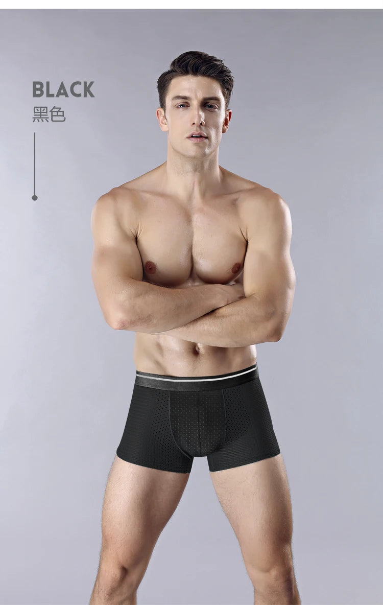 Men Underwear Panties - Ice Silk Male Underpants /8pcs