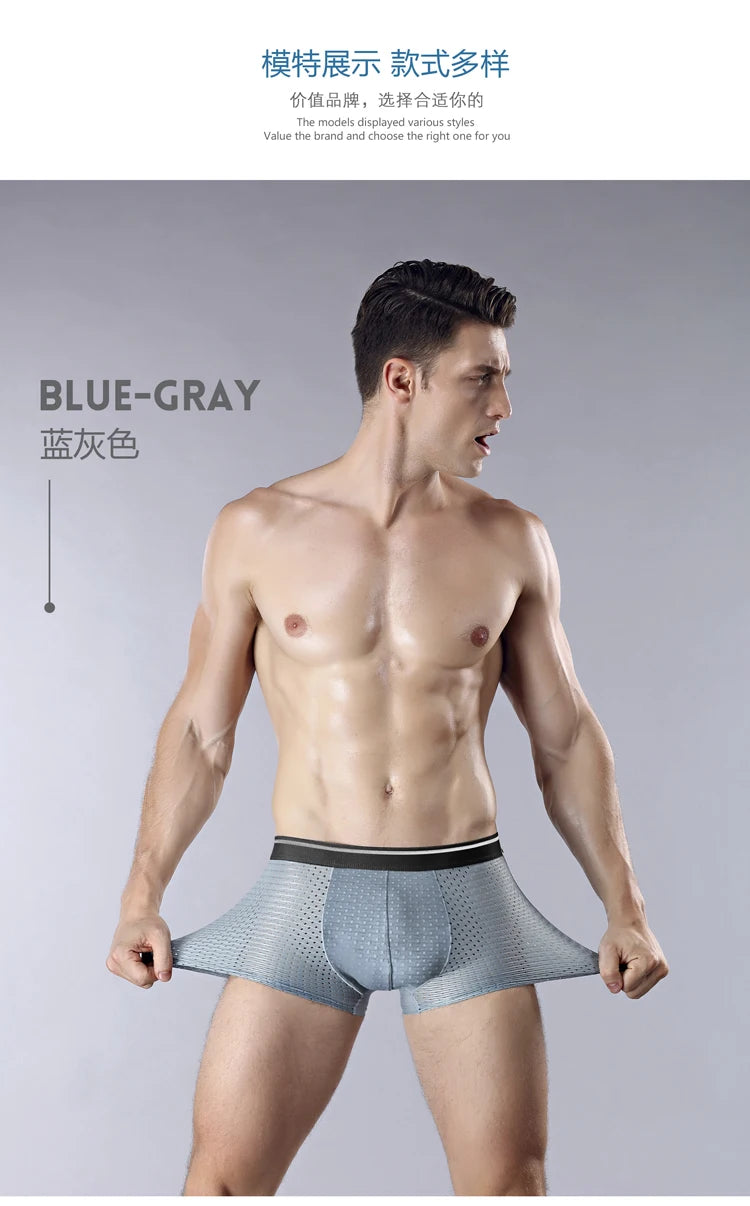 Men Underwear Panties - Ice Silk Male Underpants /8pcs
