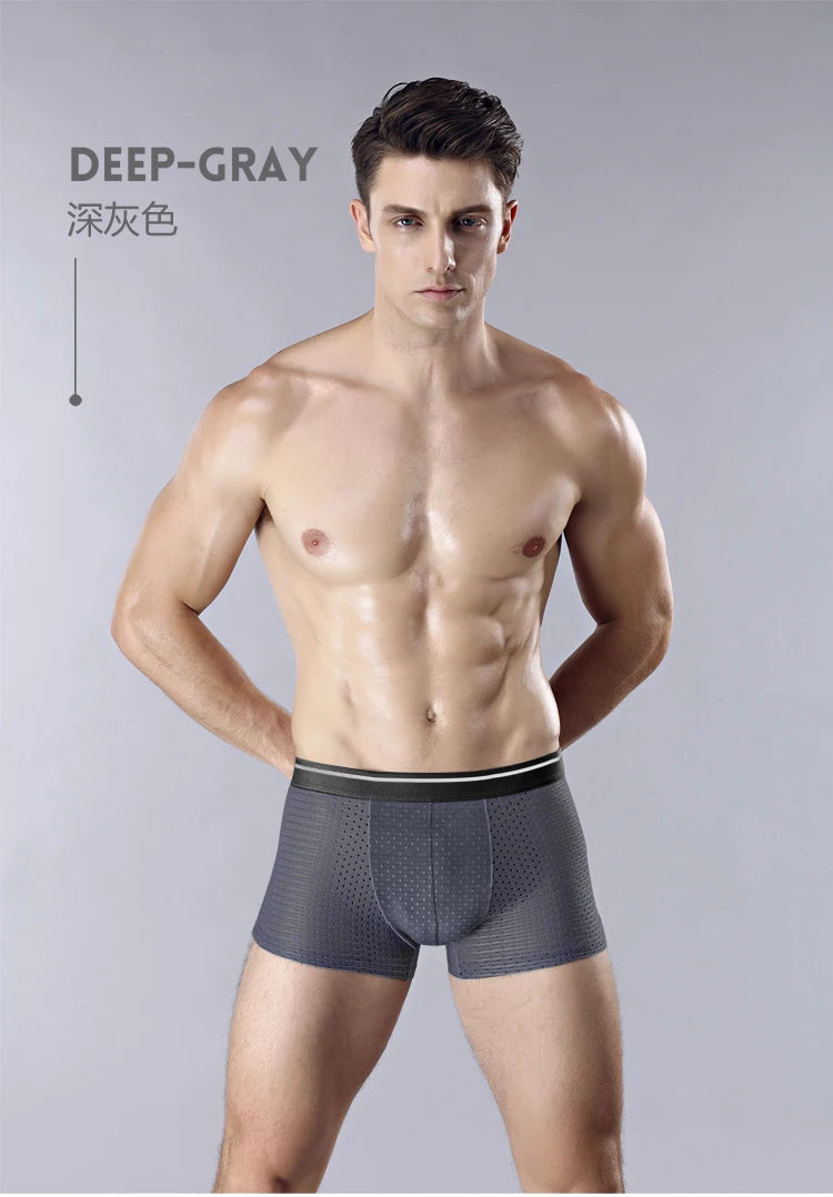 Men Underwear Panties - Ice Silk Male Underpants /8pcs