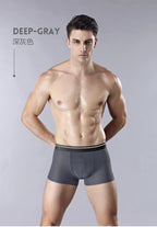 Men Underwear Panties - Ice Silk Male Underpants /8pcs