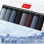 Men Underwear Panties - Ice Silk Male Underpants /8pcs