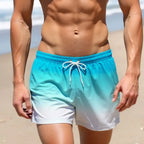 Men's Swim Shorts Swim Trunks Quick Dry Board Shorts