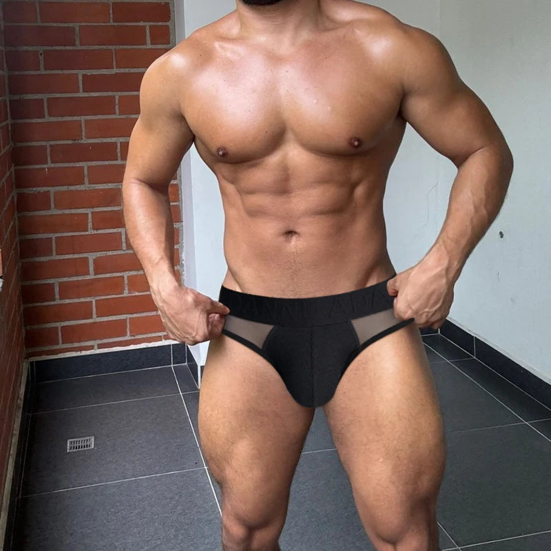Men's Underpants Low-waist Transparent Mesh Spliced Triangle Pant / 3pcs