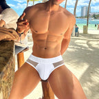 Men's Underpants Low-waist Transparent Mesh Spliced Triangle Pant / 3pcs