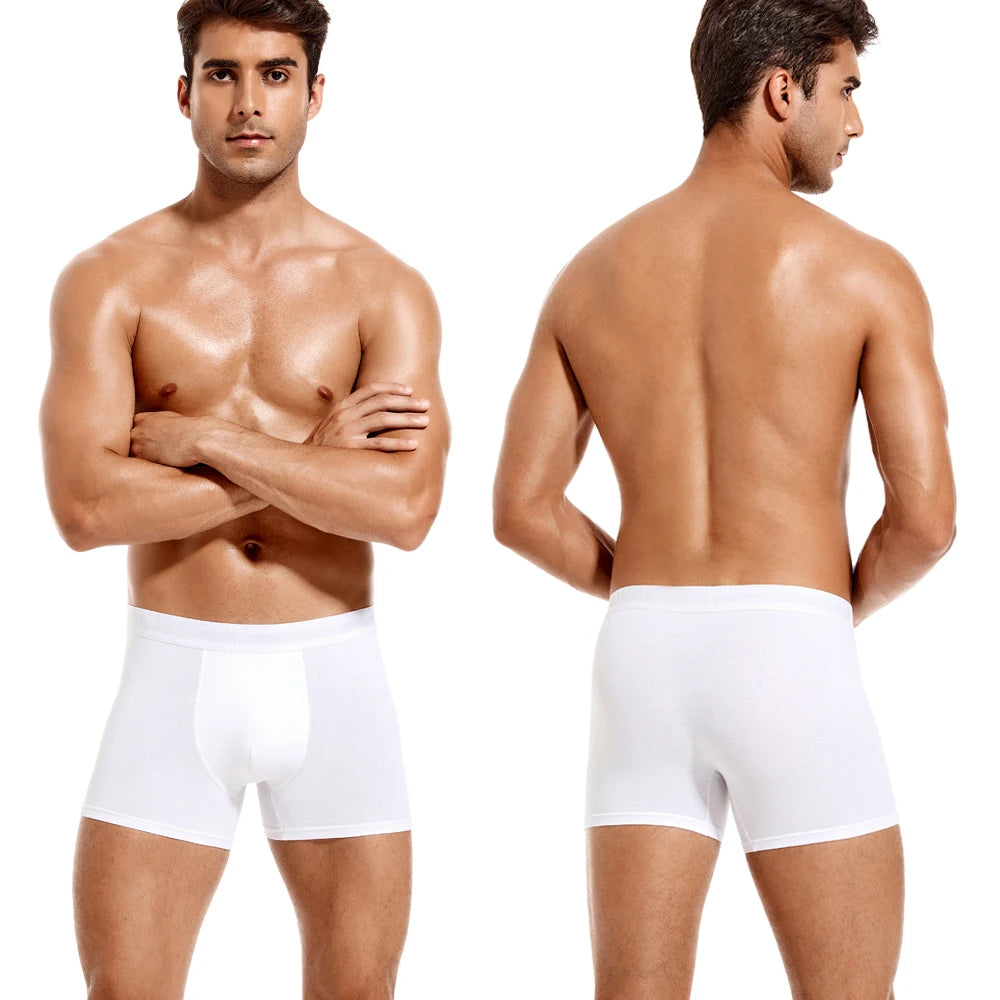 Men Panties Cotton Boxers For Man Underwear / 6pcs