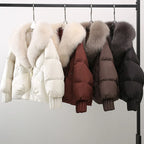 Women Coat & Jacket "Winter New Thicke Warm Parkas Removable Fur Collar Bread Coat Loose"